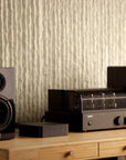 WiiM Pro Plus (Ultra-Hig-Res-Streamer)