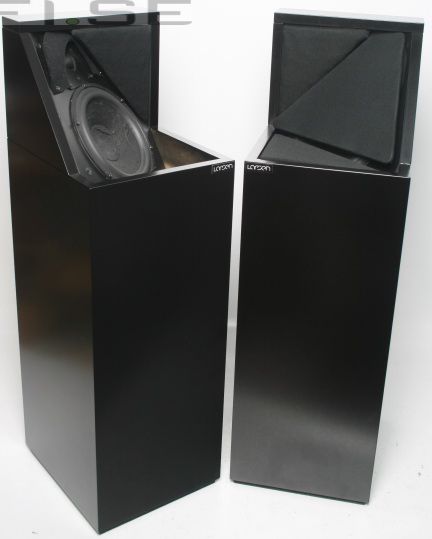 Larsen 6.2
