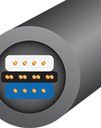 Equinox 8 interconnect (XLR Kabel)
