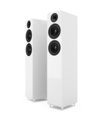 AE309